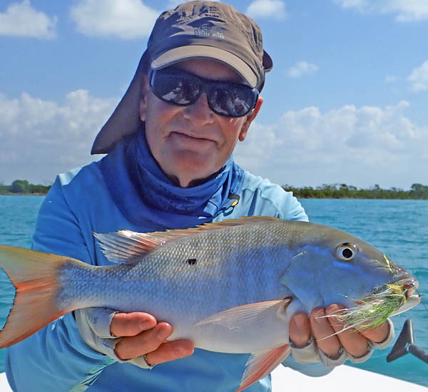 Mit schnell geführten Streamern fängt man auch Mutton Snapper